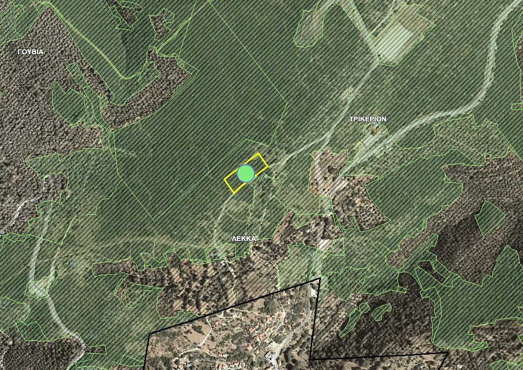 The official forest-map viewer showing the Trikeri parcel outlined in yellow inside continuous green hatching, with the black settlement limit of Trikeri drawn along the bottom of the frame